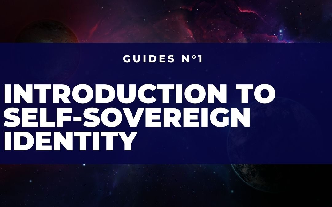 Introduction to Self-Sovereign Identity